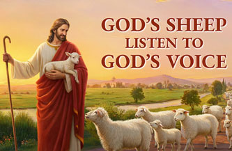 Shekinah NTA